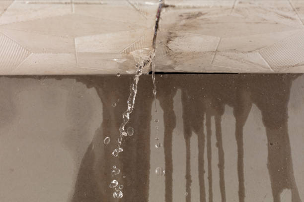 Professional Burst Pipe Cleanup technician working in Dundee, OR